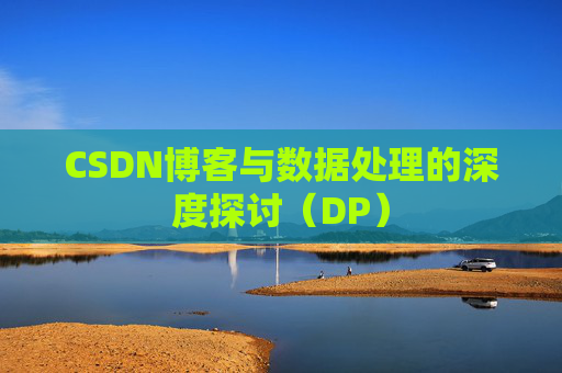 CSDN博客与数据处理的深度探讨（DP）